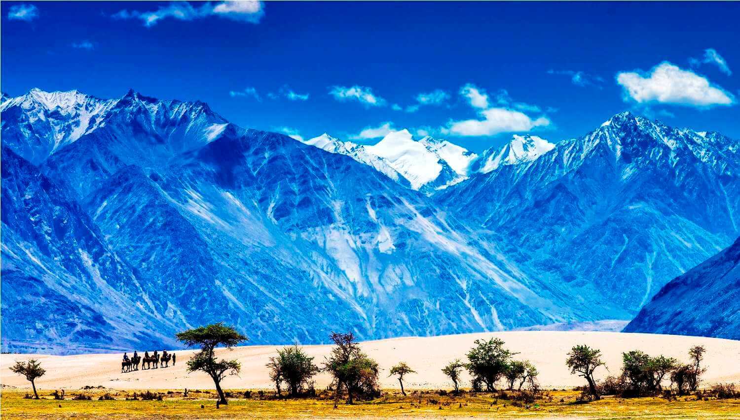 Ladakh With Nubra Valley, India